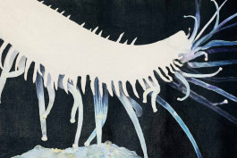 Tomomi Yamakawa at JVDW gallery in Duesseldorf JVDW contemporary art gallery in Düsseldorf