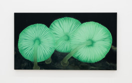 Group exhibition Grassroots at JVDW gallery in Duesseldorf JVDW contemporary art gallery in Düsseldorf