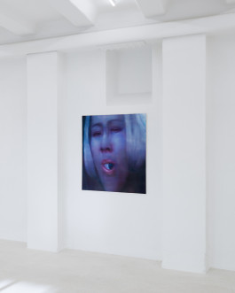 Group exhibition Grassroots at JVDW gallery in Duesseldorf JVDW contemporary art gallery in Düsseldorf