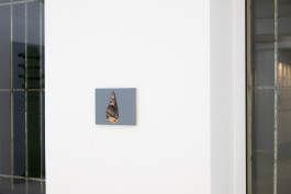 David Benedikt Wirth at JVDW gallery in Duesseldorf JVDW contemporary art gallery in Düsseldorf