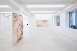 Alina Vergnano JVDW gallery Duesseldorf JVDW contemporary art gallery in Düsseldorf