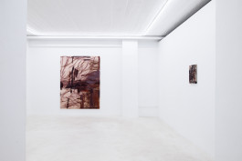 Alina Vergnano JVDW gallery Duesseldorf JVDW contemporary art gallery in Düsseldorf