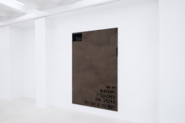 Dennis Buck JVDW gallery Duesseldorf JVDW contemporary art gallery in Düsseldorf