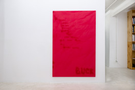 Dennis Buck JVDW gallery Duesseldorf JVDW contemporary art gallery in Düsseldorf