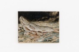 David Schiesser solo exhibition Spirale at JVDW gallery Duesseldorf JVDW contemporary art gallery in Düsseldorf