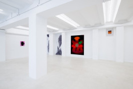 Luca Calaras solo show Knieinfarkt at JVDW gallery Duesseldorf JVDW contemporary art gallery in Düsseldorf