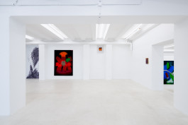 Luca Calaras solo show Knieinfarkt at JVDW gallery Duesseldorf JVDW contemporary art gallery in Düsseldorf