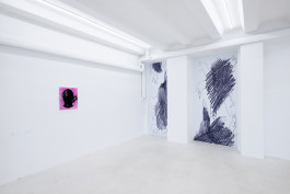 Luca Calaras solo show Knieinfarkt at JVDW gallery Duesseldorf, Germany JVDW contemporary art gallery in Düsseldorf