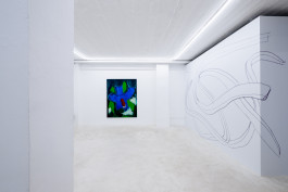 Luca Calaras solo show Knieinfarkt at JVDW gallery Duesseldorf JVDW contemporary art gallery in Düsseldorf