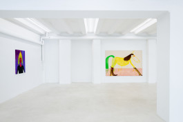 Matthias Dornfeld solo show CREME FRAICHE at JVDW gallery Duesseldorf JVDW contemporary art gallery in Düsseldorf