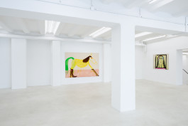 Matthias Dornfeld solo show CREME FRAICHE at JVDW gallery Duesseldorf JVDW contemporary art gallery in Düsseldorf