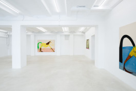 Matthias Dornfeld solo show CREME FRAICHE at JVDW gallery Duesseldorf JVDW contemporary art gallery in Düsseldorf