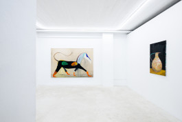 Matthias Dornfeld solo show CREME FRAICHE at JVDW gallery Duesseldorf JVDW contemporary art gallery in Düsseldorf