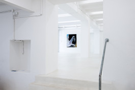 Matthias Dornfeld solo show CREME FRAICHE at JVDW gallery Duesseldorf JVDW contemporary art gallery in Düsseldorf