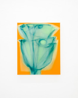 Solo exhibition fake flowers don't fade by Julien Saudubray at JVDW gallery in Duesseldorf, Germany JVDW contemporary art gallery in Düsseldorf