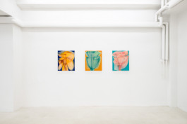 Solo exhibition fake flowers don't fade by Julien Saudubray at JVDW gallery in Duesseldorf, Germany JVDW contemporary art gallery in Düsseldorf