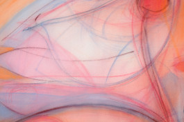 Solo exhibition fake flowers don't fade by Julien Saudubray at JVDW gallery in Duesseldorf, Germany JVDW contemporary art gallery in Düsseldorf