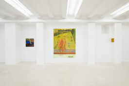 Solo exhibition fly by night by Travis MacDonald at JVDW gallery in Duesseldorf, Germany JVDW contemporary art gallery in Düsseldorf