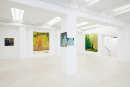 Solo exhibition fly by night by Travis MacDonald at JVDW gallery in Duesseldorf, Germany JVDW contemporary art gallery in Düsseldorf