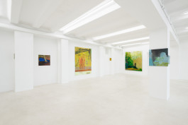 Solo exhibition fly by night by Travis MacDonald at JVDW gallery in Duesseldorf, Germany JVDW contemporary art gallery in Düsseldorf