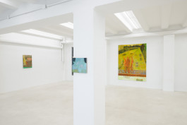 Solo exhibition fly by night by Travis MacDonald at JVDW gallery in Duesseldorf, Germany JVDW contemporary art gallery in Düsseldorf