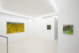 Solo exhibition fly by night by Travis MacDonald at JVDW gallery in Duesseldorf, Germany JVDW contemporary art gallery in Düsseldorf