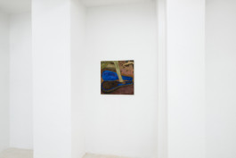 Solo exhibition fly by night by Travis MacDonald at JVDW gallery in Duesseldorf, Germany JVDW contemporary art gallery in Düsseldorf