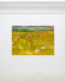 Solo exhibition fly by night by Travis MacDonald at JVDW gallery in Duesseldorf, Germany JVDW contemporary art gallery in Düsseldorf