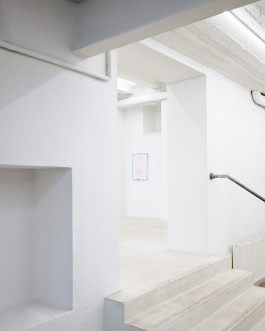 Group exhibition A GENTLE CRUISE at JVDW gallery in Duesseldorf, Germany JVDW contemporary art gallery in Düsseldorf