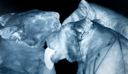 David Benedikt Wirth will participate at ART DUESSELDORF 2024 with JVDW gallery JVDW contemporary art gallery in Düsseldorf