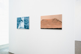 Düsseldorf based JVDW gallery presents a solo booth with Berlin based painter David Benedikt Wirth at Art Düsseldorf 2024 JVDW contemporary art gallery in Düsseldorf