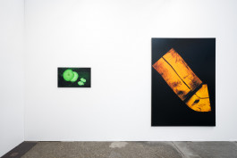 Düsseldorf based JVDW gallery presents a solo booth with Berlin based painter David Benedikt Wirth at Art Düsseldorf 2024 JVDW contemporary art gallery in Düsseldorf