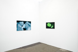 Düsseldorf based JVDW gallery presents a solo booth with Berlin based painter David Benedikt Wirth at Art Düsseldorf 2024 JVDW contemporary art gallery in Düsseldorf