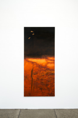 Düsseldorf based JVDW gallery presents a solo booth with Berlin based painter David Benedikt Wirth at Art Düsseldorf 2024 JVDW contemporary art gallery in Düsseldorf