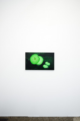 Düsseldorf based JVDW gallery presents a solo booth with Berlin based painter David Benedikt Wirth at Art Düsseldorf 2024 JVDW contemporary art gallery in Düsseldorf