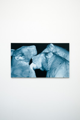 Düsseldorf based JVDW gallery presents a solo booth with Berlin based painter David Benedikt Wirth at Art Düsseldorf 2024 JVDW contemporary art gallery in Düsseldorf