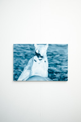 Düsseldorf based JVDW gallery presents a solo booth with Berlin based painter David Benedikt Wirth at Art Düsseldorf 2024 JVDW contemporary art gallery in Düsseldorf