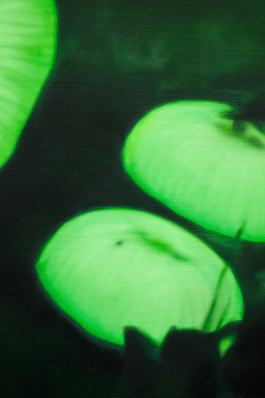 Düsseldorf based JVDW gallery presents a solo booth with Berlin based painter David Benedikt Wirth at Art Düsseldorf 2024 JVDW contemporary art gallery in Düsseldorf