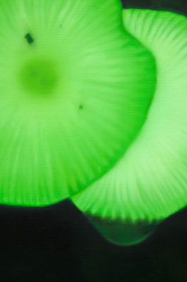 Düsseldorf based JVDW gallery presents a solo booth with Berlin based painter David Benedikt Wirth at Art Düsseldorf 2024 JVDW contemporary art gallery in Düsseldorf