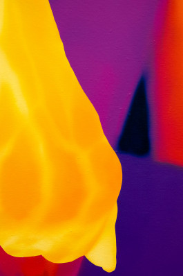 Düsseldorf based JVDW gallery presents a solo booth with Berlin based painter David Benedikt Wirth at Art Düsseldorf 2024 JVDW contemporary art gallery in Düsseldorf