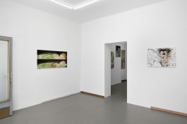  JVDW contemporary art gallery in Düsseldorf