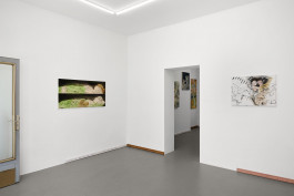  JVDW contemporary art gallery in Düsseldorf